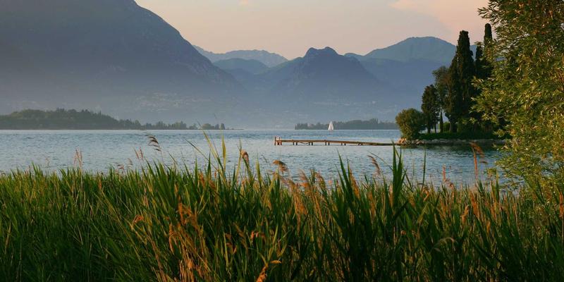 人工智能驱动下的LNHQP技术革新：从理论到实践的深度解析