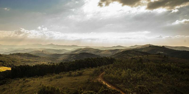 从LNHQP技术分享案例看优质编程资源的传播路径