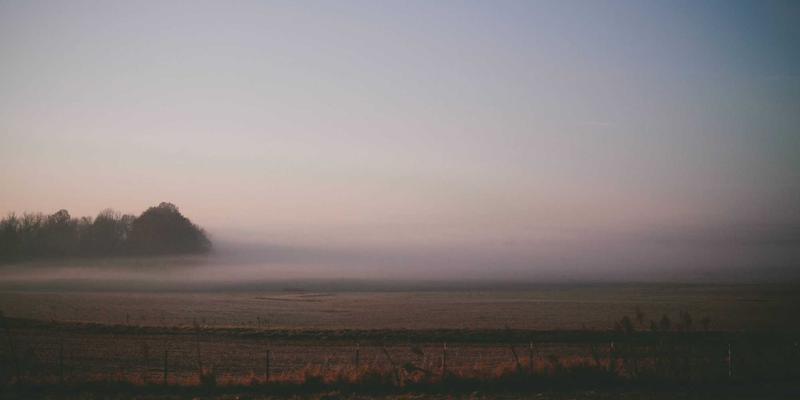 开放网络与白盒交换机：解耦硬件与软件，如何重塑数据中心网络生态并赋能AI与安全