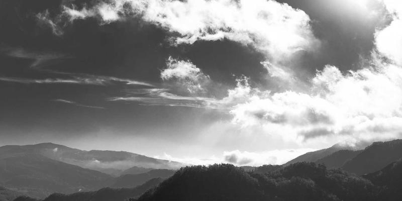 意图驱动网络（IDN）：网络技术从自动化迈向智能化的革命性范式