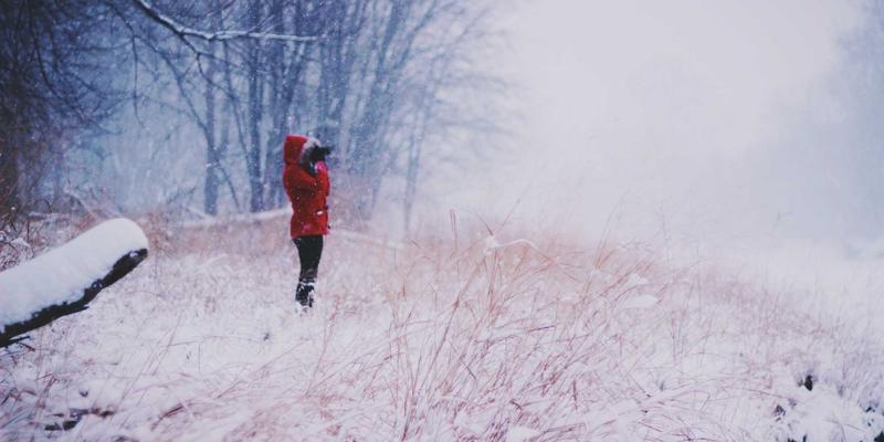 深度解析网络技术75：从LNHQP架构到实战技术分享
