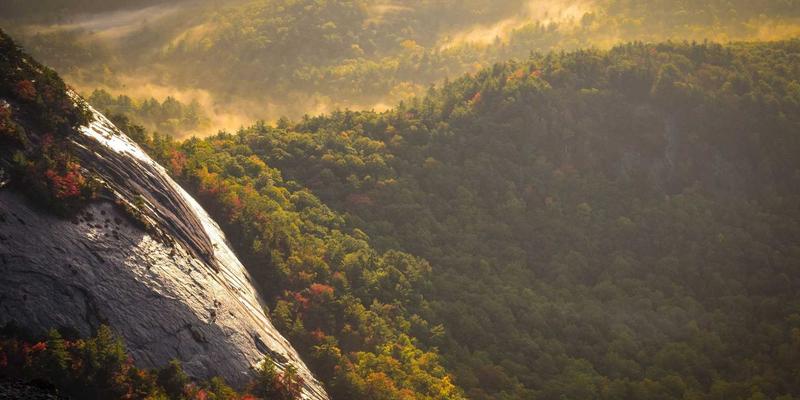 网络技术38:编程资源与人工智能的融合新纪元