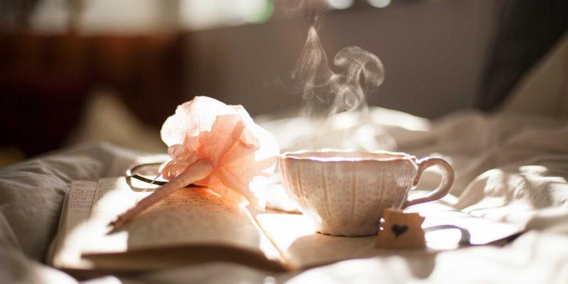 网络技术51：编程资源、技术分享与人工智能的融合创新