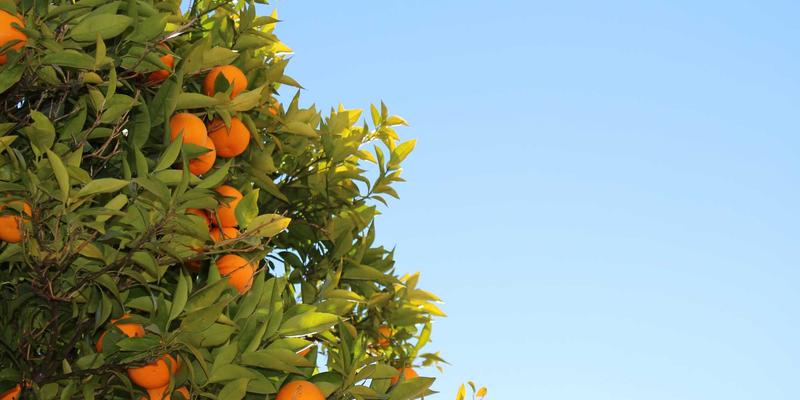 网络技术78：人工智能如何重塑网络安全新范式