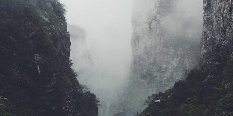 网络技术入门指南：从编程资源到网络安全的核心路径