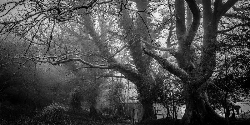 网络技术新浪潮：人工智能如何重塑编程资源与开发范式