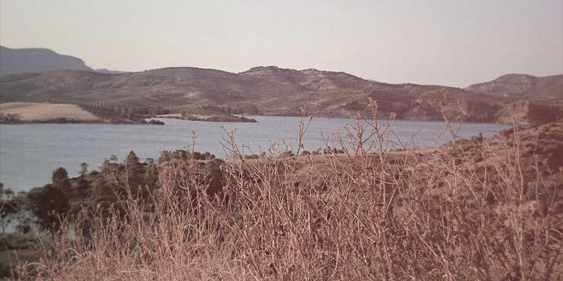 网络技术进阶：云计算如何重塑企业IT架构与未来趋势