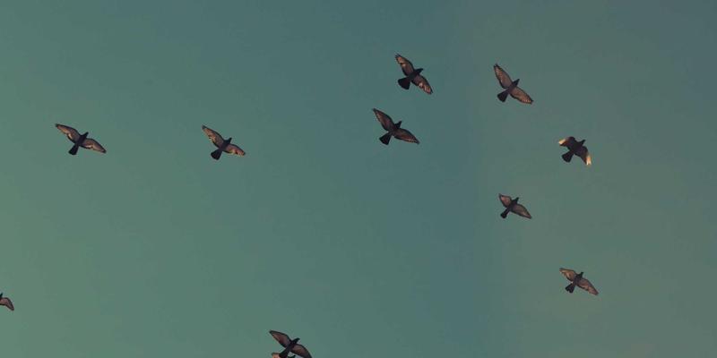 网络数字孪生：融合云计算与人工智能，构建智能网络的虚拟映射