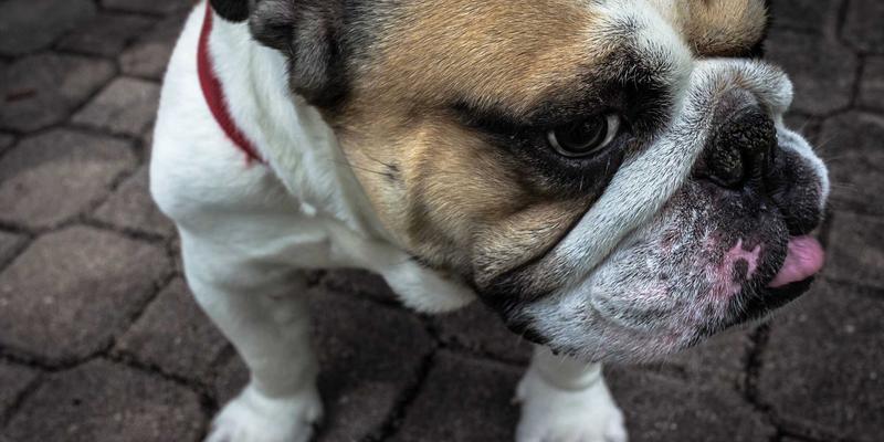 软件定义网络(SDN)如何优化数据中心网络架构：LNHQP与云计算的关键技术融合