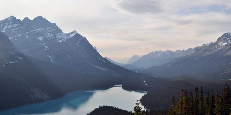 边缘计算网络架构设计：如何攻克低延迟、高带宽与网络安全三大挑战