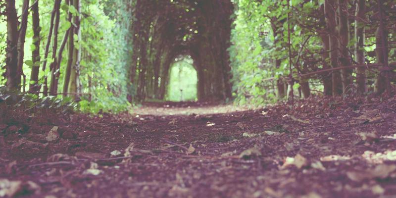 量子密钥分发（QKD）网络：融合云计算与LNHQP，构建下一代无条件安全通信基础设施